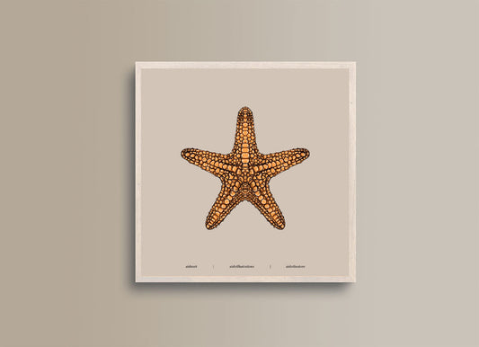 Seaside Creature 3
