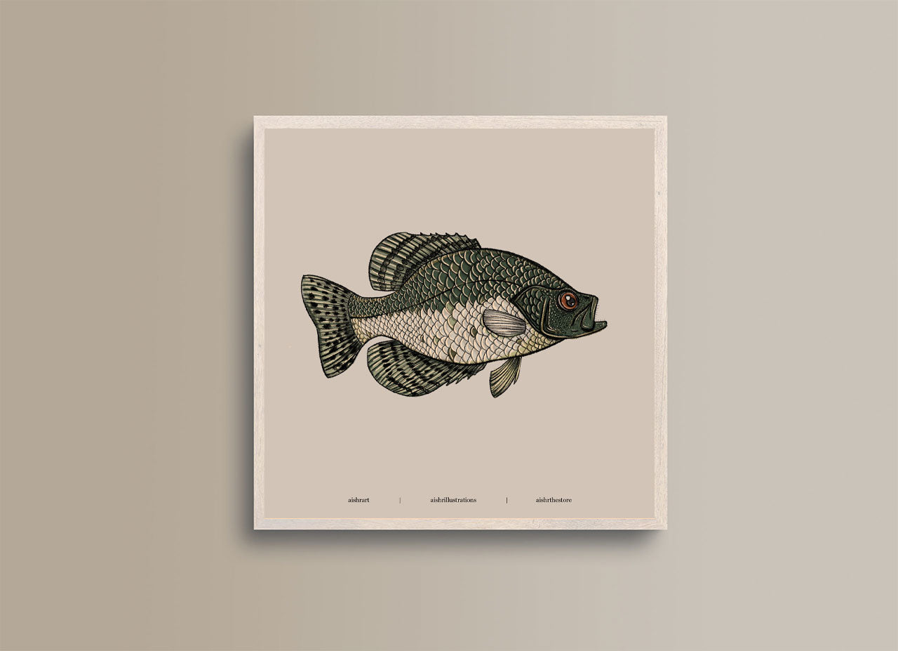 Seaside Creature 4