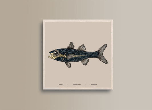 Seaside Creature 5